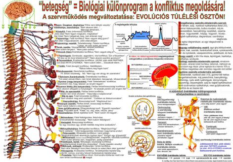 biologiai_osszefuggesek.jpg