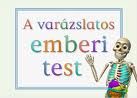 emberi_test.jpg