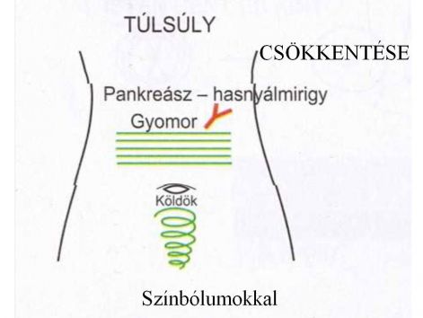 tulsuly_csok.szinbolumokkal.jpg